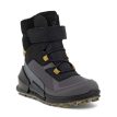 Ecco Biom K2 1S GTX Winterstiefel (Kinder) schräg von vorn