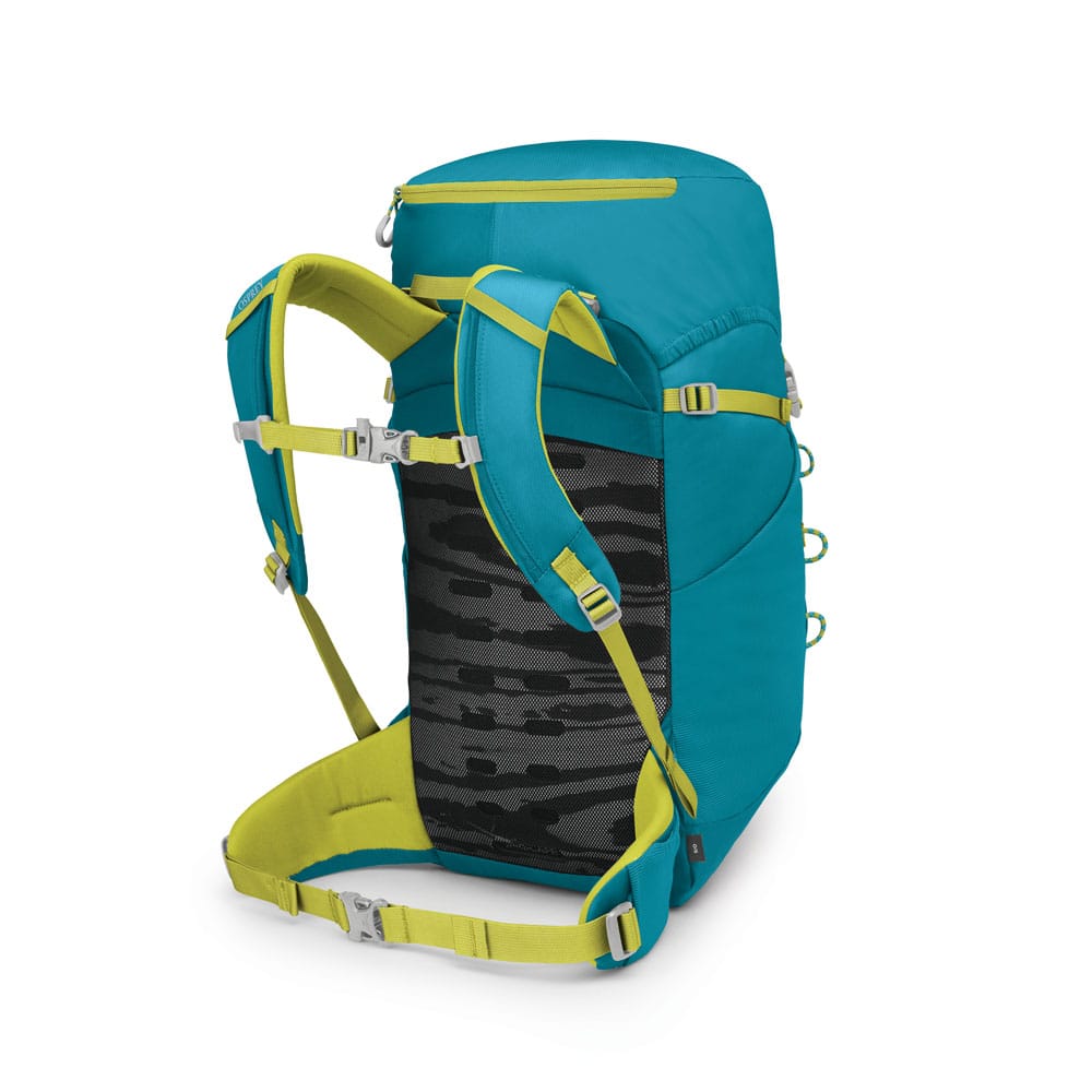 bagpanel af en Blue Spikemoss Lemongrass