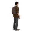 Osprey Daylite Plus Driftshade 20L (Limited Edition)