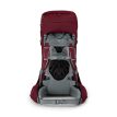 Bagside af Osprey Ariel 55 vandreryggsæk (dame)