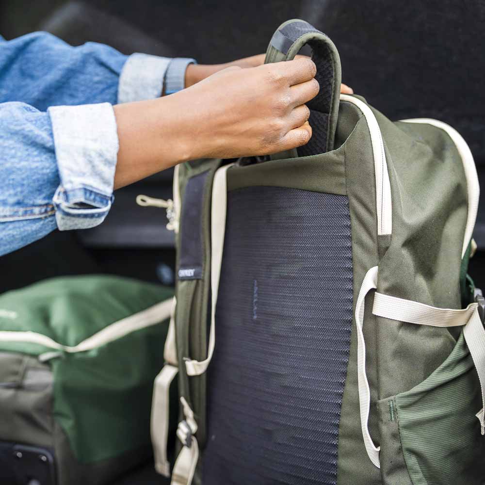 rygpanel på Osprey Daylite Carry-On Travel Pack 35L rejserygsæk (unisex)