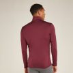 bagsiden af Icebreaker 260 Tech LS Half Zip uldundertrøje (herre) på en model
