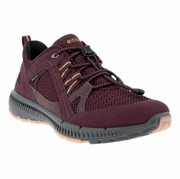 ECCO TERRACRUISE II W GTX TEX set skråt forfra