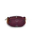 Osprey Seral 4 cykeltaske i purple set forfra