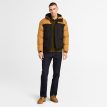 en model har Timberland Durable Water Repellent Puffer Jacket vinterjakke (herre) på
