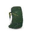 en smidig Osprey Ace 38L vandreryggsekk (barn)