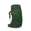 Osprey Ace 50L turrygsekk (barn) forfra