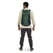 Osprey Hikelite LT 30 Tundra green på modell