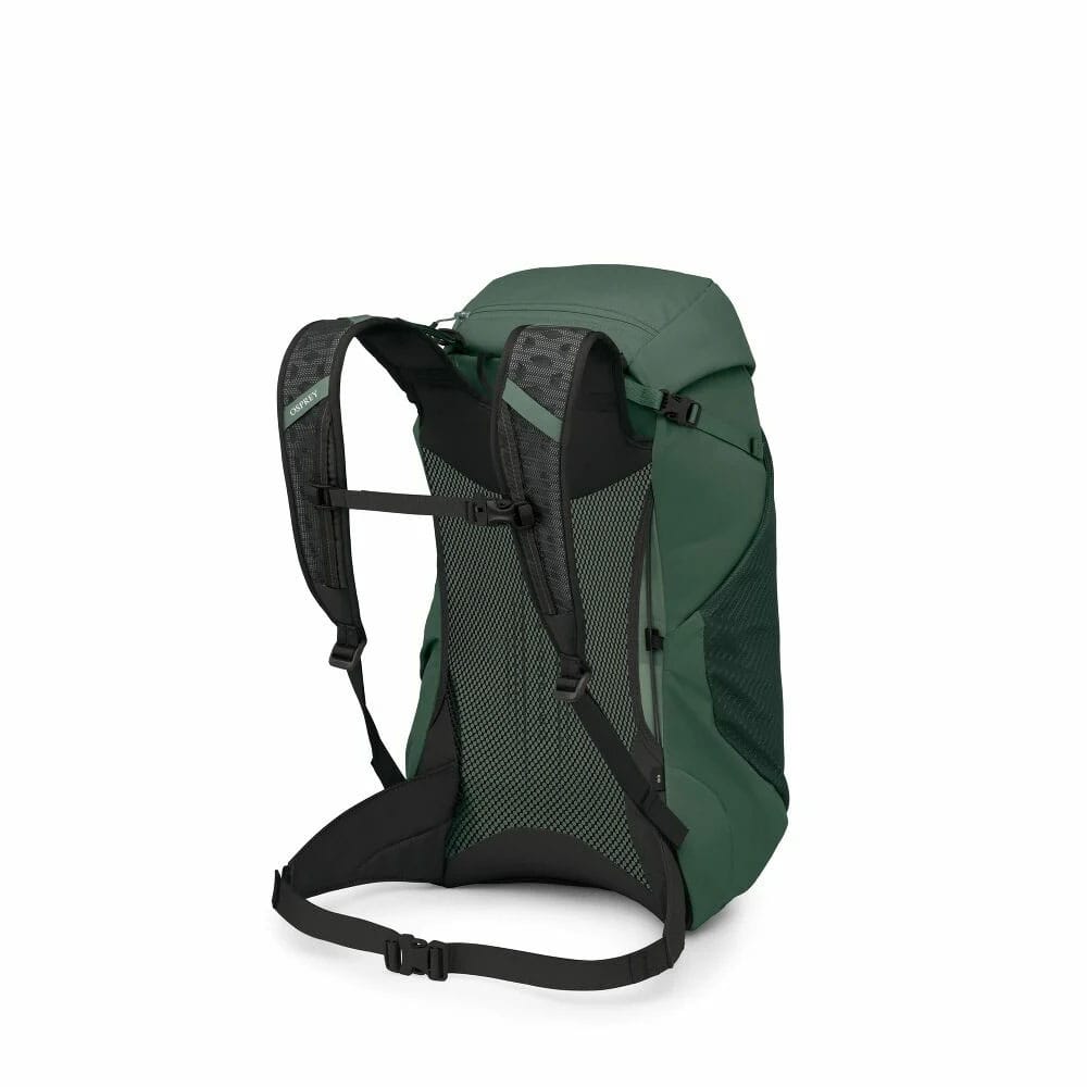 Osprey Hikelite LT 30 Tundra green bakfra